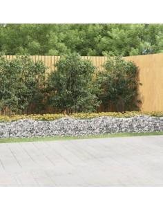 Извит габион повдигната леха 800x100x50 см поцинковано желязо