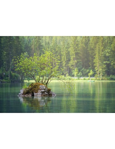 Картина - 3095682