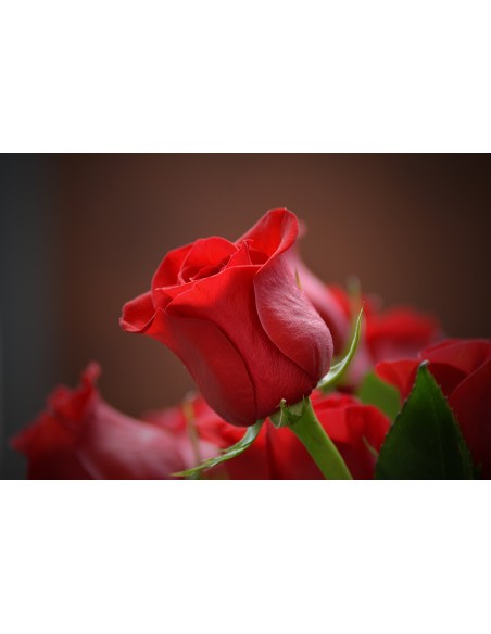 Картина - 3115353