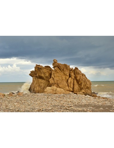 Картина - 6959341