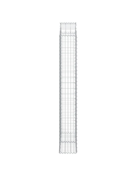 Дъговидна габионна кошница 100x30x200/220 см поцинковано желязо