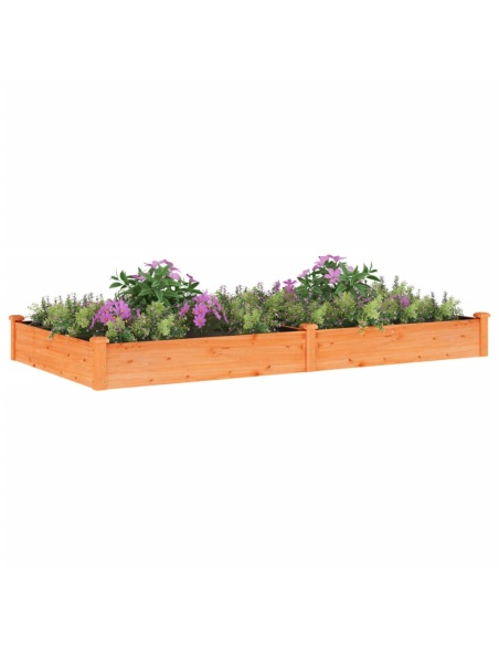 Градинска повдигната леха с вложка кафяв 240x120x25см ела масив