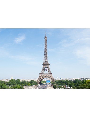 Картина - 2378467