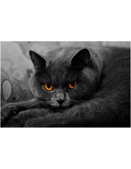 Картина - 4872997