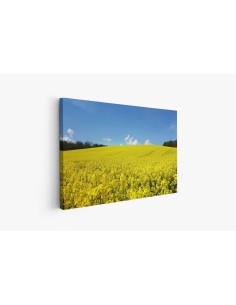 Картина - 502973