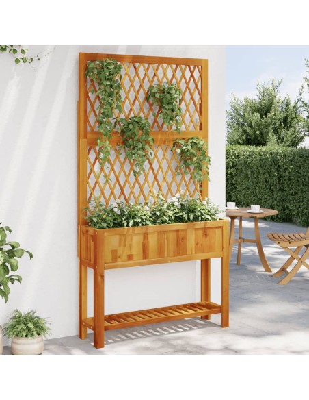 Кашпа с пергола и рафт, 100x32x185 cm, акация масив