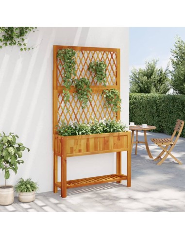Кашпа с пергола и рафт, 100x32x185 cm, акация масив