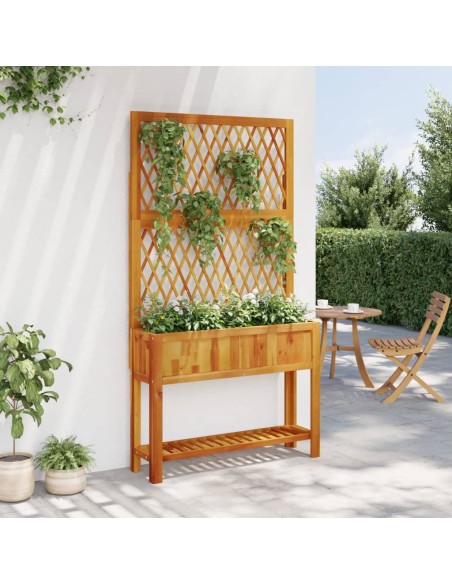 Кашпа с пергола и рафт, 100x32x185 cm, акация масив