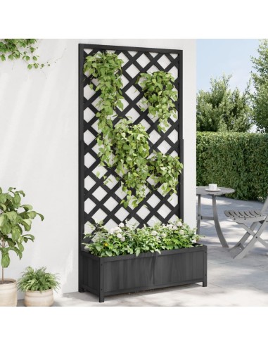Кашпа с пергола, черно, масивна ела