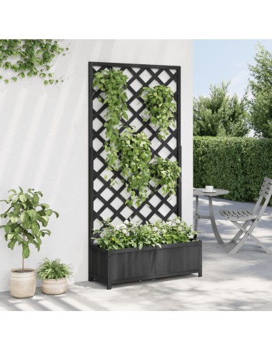 Кашпа с пергола, черно, масивна ела