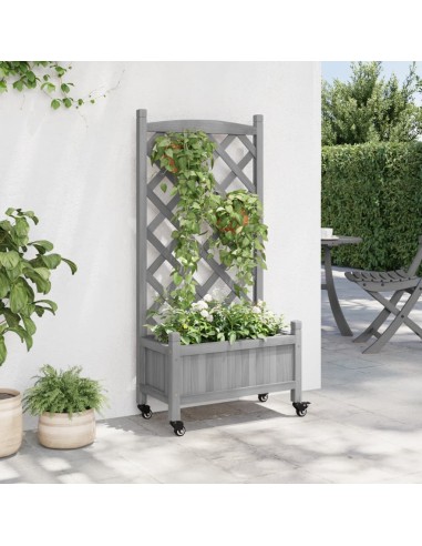 Кашпа с пергола и колелца, сиво, масивна ела