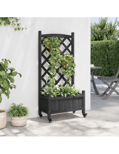 Кашпа с пергола и колелца, черно, масивна ела
