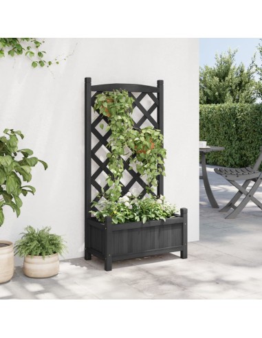 Кашпа с пергола, черно, масивна ела