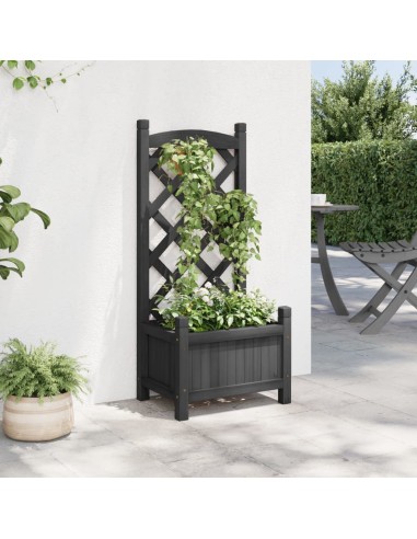 Кашпа с пергола, черно, масивна ела