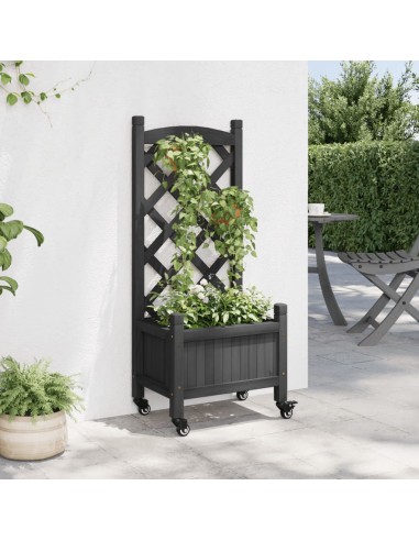 Кашпа с пергола и колелца, черно, масивна ела