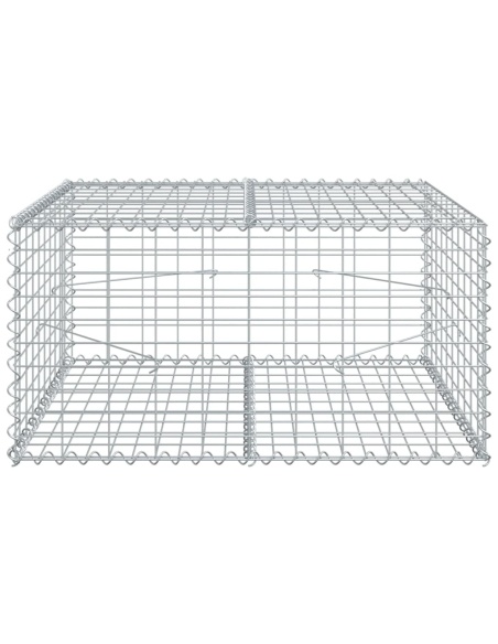 Габионна кошница с покритие, 100x100x50 см, поцинковано желязо