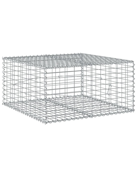 Габионна кошница с покритие, 100x100x50 см, поцинковано желязо
