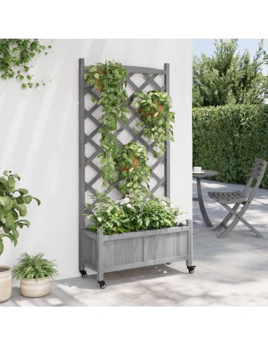 Кашпа с пергола и колелца, сиво, масивна ела