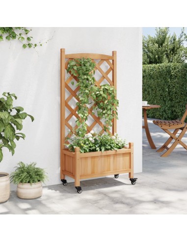 Кашпа с пергола и колелца, кафяво, масивна ела