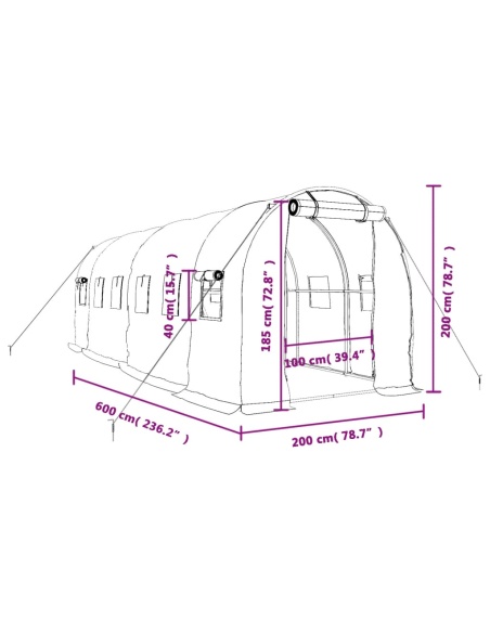 Оранжерия със стоманена рамка бяла 12 м² 6x2x2 м
