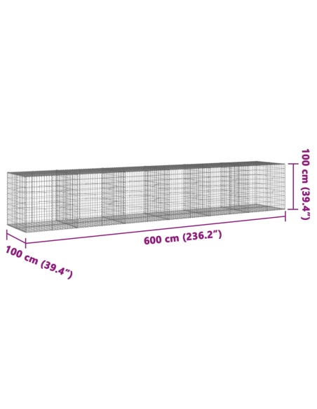 Габионна кошница с покритие, 600x100x100 см, поцинковано желязо