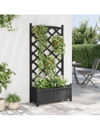 Кашпа с пергола, черно, масивна ела
