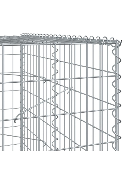 Габионна кошница с покритие, 250x100x200 см, поцинковано желязо