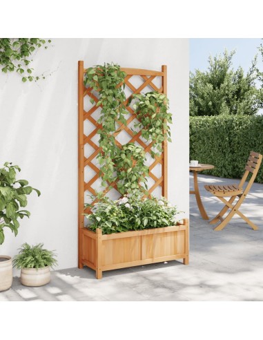 Кашпа с пергола, кафяво, масивна ела