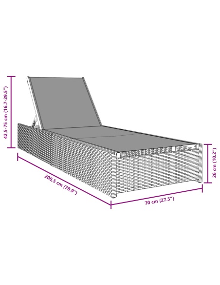Шезлонг Сиво 60x200x27 см Полирата