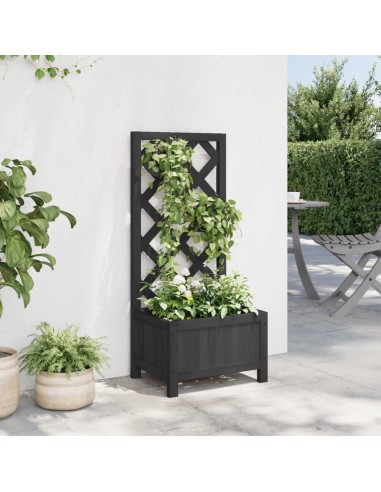 Кашпа с пергола, черно, масивна ела