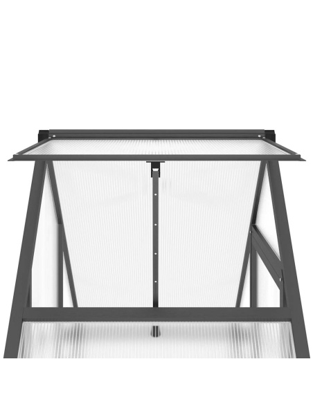Оранжерия с основа рамка антрацит 169x58x195 см алуминий
