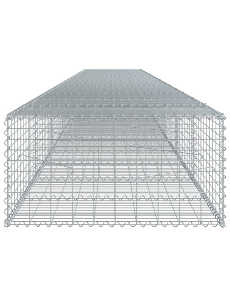 Габионна кошница с покритие, 800x100x50 см, поцинковано желязо