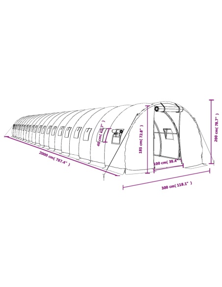 Оранжерия със стоманена рамка бяла 60 м² 20x3x2 м