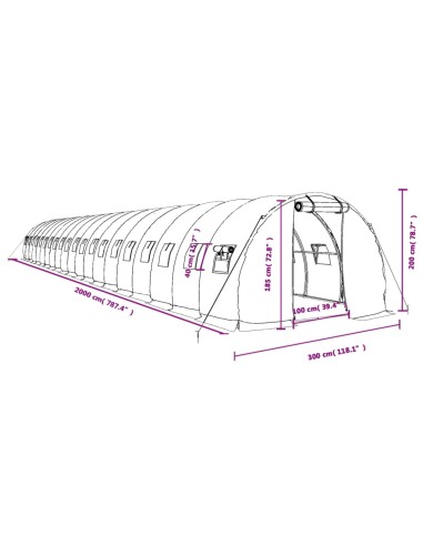Оранжерия със стоманена рамка бяла 60 м² 20x3x2 м