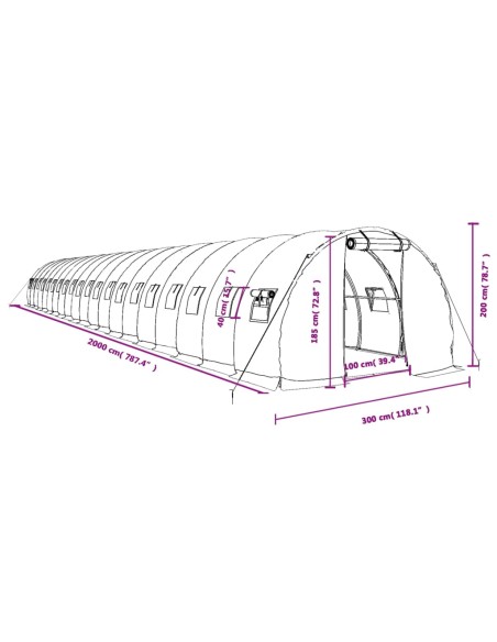 Оранжерия със стоманена рамка бяла 60 м² 20x3x2 м