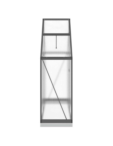 Оранжерия с основа рамка антрацит 169x58x202 см алуминий