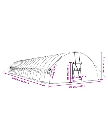 Оранжерия със стоманена рамка бяла 120 м² 20x6x2,85 м