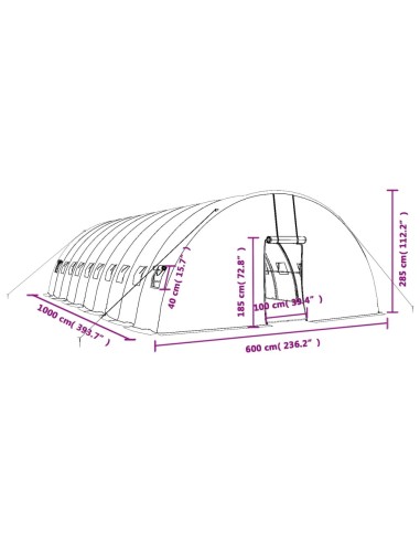 Оранжерия със стоманена рамка бяла 60 м² 10x6x2,85 м