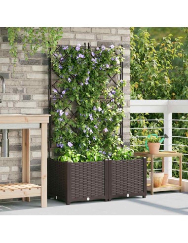Градинска саксия с решетка 2 pcs Кафяво 80 x 40 x 143 см ПП