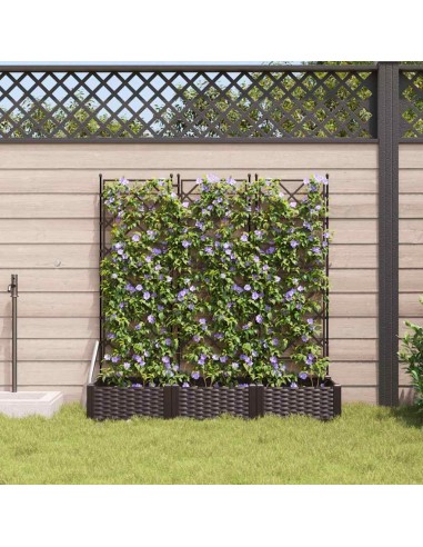 Градинска саксия с решетка 3 pcs Кафяво 120 x 40 x 125.5 см ПП