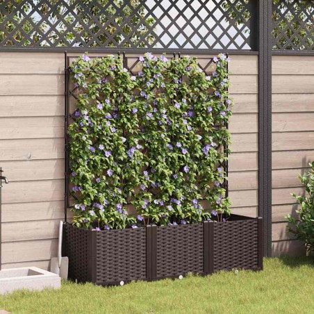 Градинска саксия с решетка 3 pcs Кафяво 120 x 40 x 143 см ПП