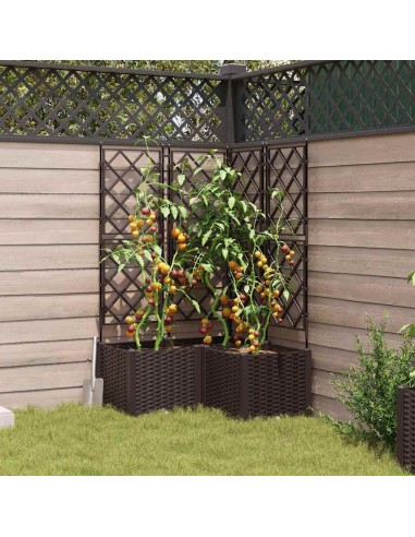 Градинска саксия с решетка 3 pcs Кафяво 80 x 80 x 143 см ПП