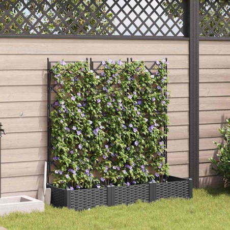 Градинска саксия с решетка 3 pcs Черно 120 x 40 x 125.5 см ПП