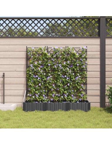 Градинска саксия с решетка 3 pcs Черно 120 x 40 x 125.5 см ПП