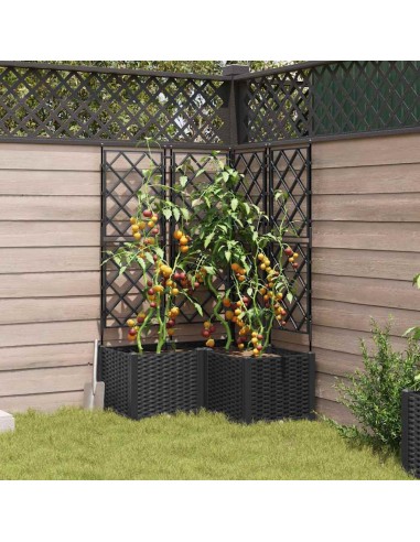 Градинска саксия с решетка 3 pcs Черно 80 x 80 x 143 см ПП
