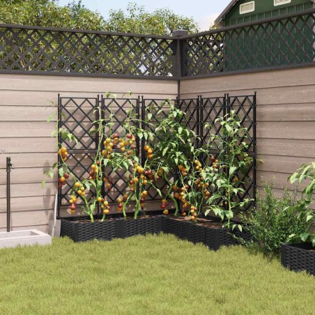 Градинска саксия с решетка 5 pcs Черно 120 x 120 x 125.5 см ПП