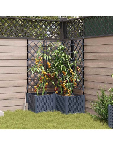 Градинска саксия с решетка 3 pcs Сив 80 x 80 x 143 см ПП