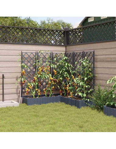 Градинска саксия с решетка 5 pcs Сив 120 x 120 x 125.5 см ПП