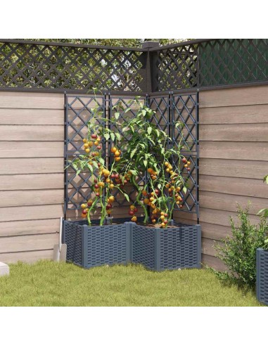 Градинска саксия с решетка 3 pcs Светлосиво 80 x 80 x 143 см ПП