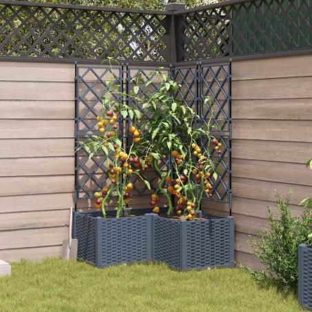 Градинска саксия с решетка 3 pcs Светлосиво 80 x 80 x 143 см ПП